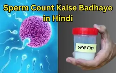 Sperm Count Kaise Badhaye in Hindi