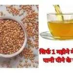 सिर्फ 1 महीने मेथी का पानी पीने के फायदे ही फायदे