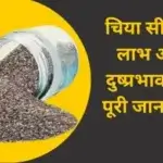 चिया सीड के लाभ और दुष्प्रभाव